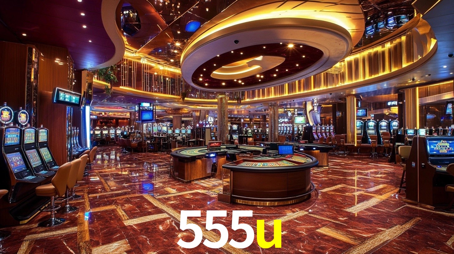 Premium Interface 555u